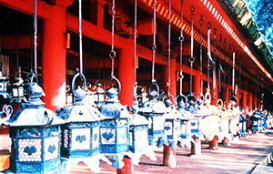 Lanterns at Kasuga Shrine, Nara Nagomikan