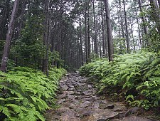 Unesco_kumano