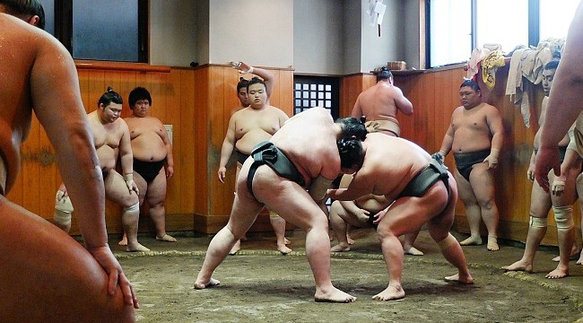 Morning practice at a sumo stable