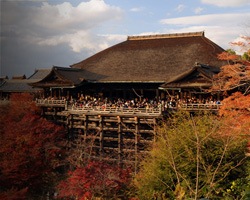 Combination 6 Day from Kyoto Tour