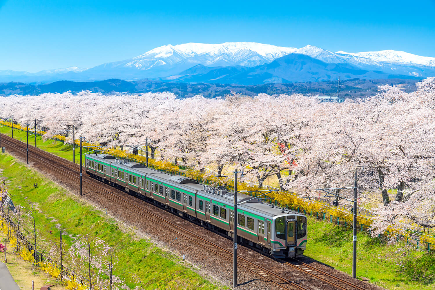 Japan_Rail_Pass_East_Tohoku