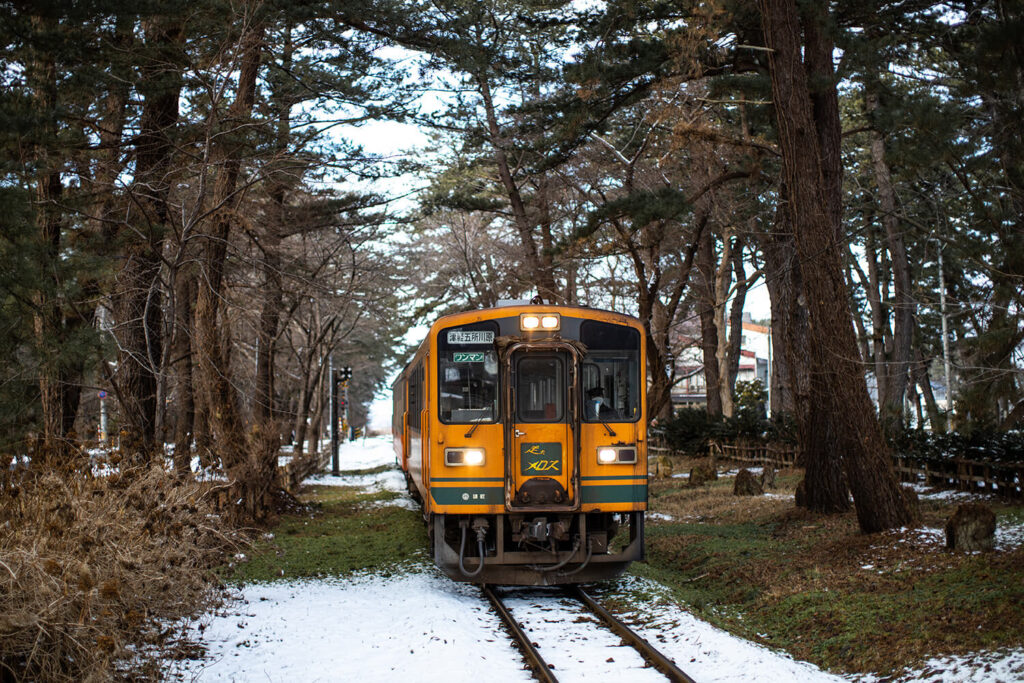 Snow_Train_Japan