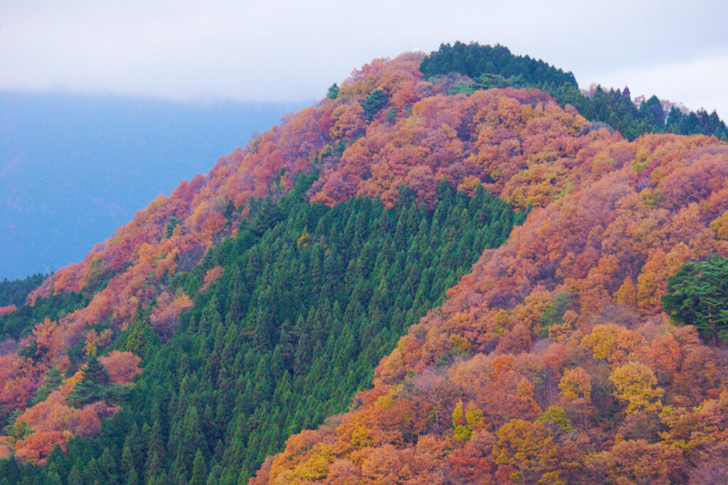 Autumn_Colours_Mt_Mitake