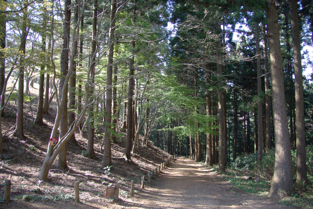 Mt Takao Hiking Course