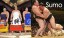 Sumo Tournament