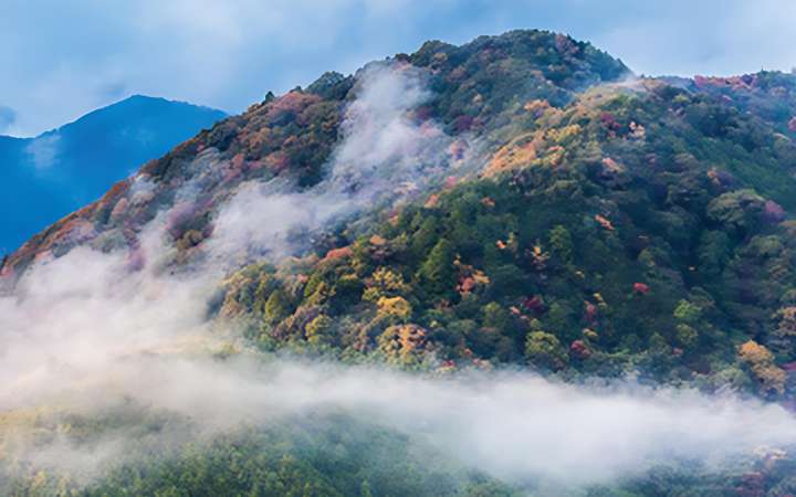Kumano Kodo pilgrimage trail in the Kii Mountains, Wakayama Prefecture – UNESCO World Heritage hiking route through sacred forests, ancient shrines, and scenic mountain landscapes in Japan