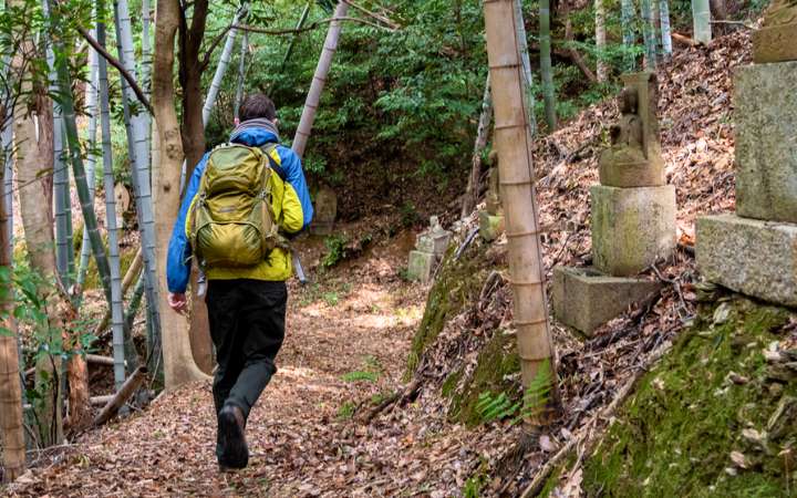 Scenic forest path along the Kiiji Trail in Wakayama, Japan – the ancient coastal route of the Kumano Kodo pilgrimage, offering ocean views, sacred shrines, and rich cultural heritage