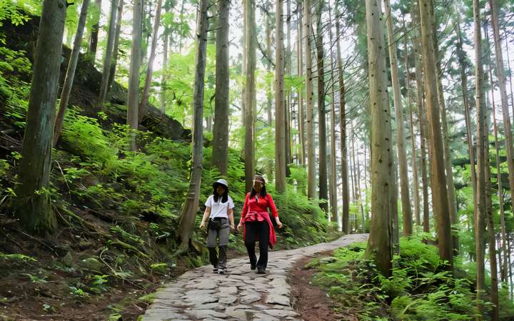 Two hikers walking along a stone-paved path through a lush cedar forest on the historic Nakasendo Trail in Japan—scenic section between post towns with rich cultural and natural heritage.