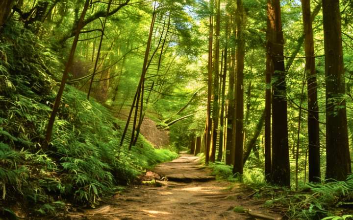 Matsumoto Castle in Nagano, Japan — a well-preserved original samurai-era fortress with black wooden walls, surrounded by a moat and scenic mountain views