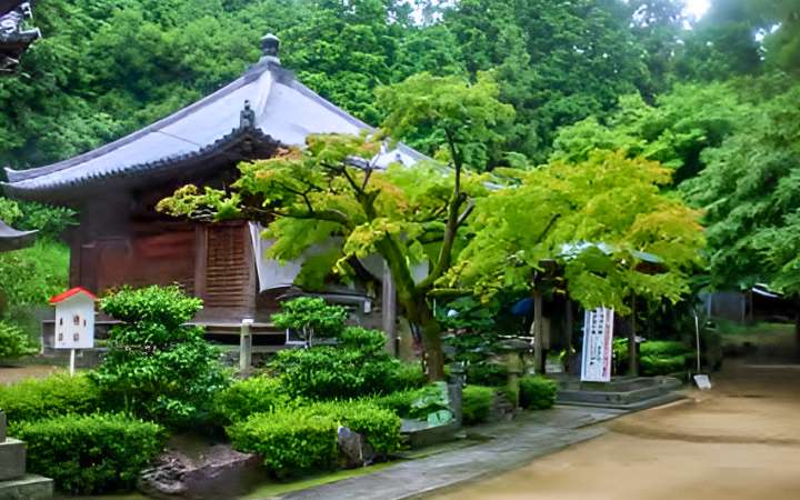 Inside the temple complex of Shiromine-ji Temple in Kagawa, Japan — a peaceful Shikoku 88 Pilgrimage site featuring historic Buddhist halls, stone lanterns, and mountain views.