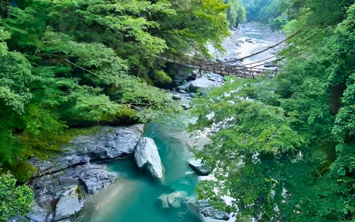 Scenic view of Iya Valley in Tokushima, Japan, featuring one of its iconic vine bridges suspended over a deep forested gorge — a historic and adventurous highlight of rural Shikoku.