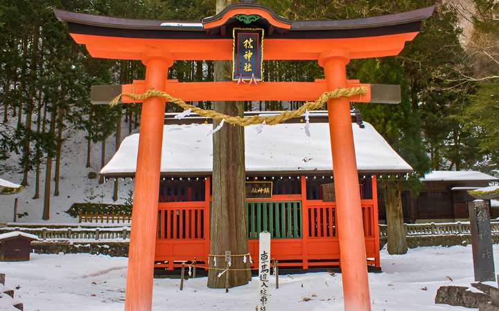 Shizume-jinja Shrine in Japan – a peaceful Shinto shrine surrounded by forest, offering cultural insight and spiritual atmosphere along the historic Nakasendo Trail.