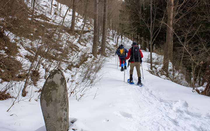 Hikers trekking through snowy forest along the Nakasendo Trail in Japan – a scenic winter adventure on a historic route connecting Kyoto and Tokyo.