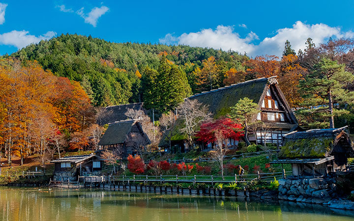 Traditional gassho-zukuri farmhouses in Shirakawa-go village, surrounded by snow-covered mountains and trees, showcasing Japan’s rural heritage in winter.
