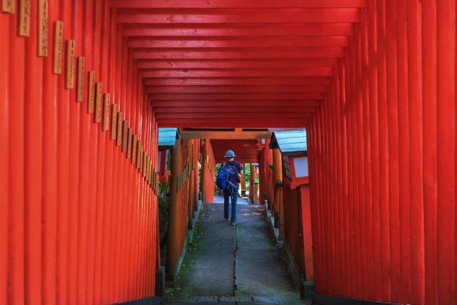 A hiker walking through the vibrant red thousand torii gates of Taikodani Inari Shrine in Tsuwano during the 5-day San’in and Hiroshima self-guided walking tour.