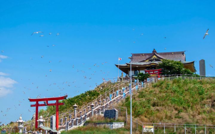 Kabushima Shrine in Hachinohe, Aomori, with its iconic red torii gate overlooking the Pacific coast and black-tailed gulls in Japan