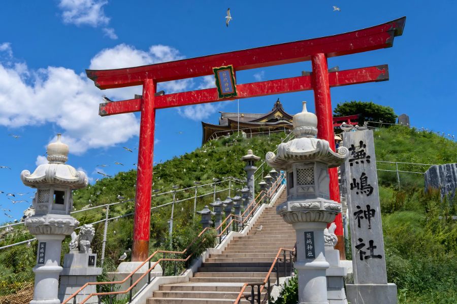 Kabushima Shrine in Hachinohe, Aomori, with its iconic red torii gate overlooking the Pacific coast and black-tailed gulls in Japan